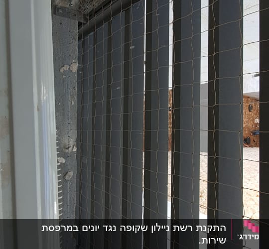 רשת מתכת מותקנת על חלון למניעת כניסת יונים